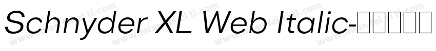 Schnyder XL Web Italic字体转换
